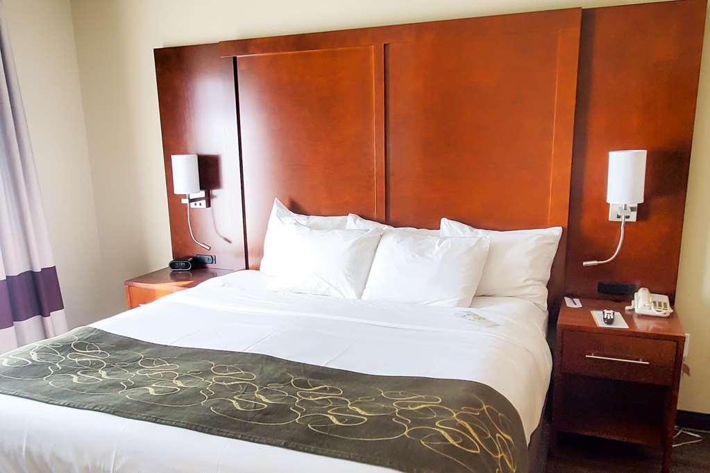 Comfort Suites Helena Airport Bilik gambar